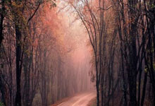 米兰双雄实力碾压，积极冲刺