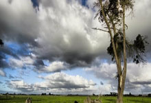 米兰双雄实力碾压，积极冲刺