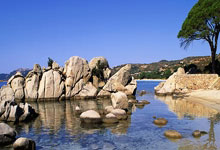 乌克兰击败俄罗斯女篮：不止一场比赛的胜利