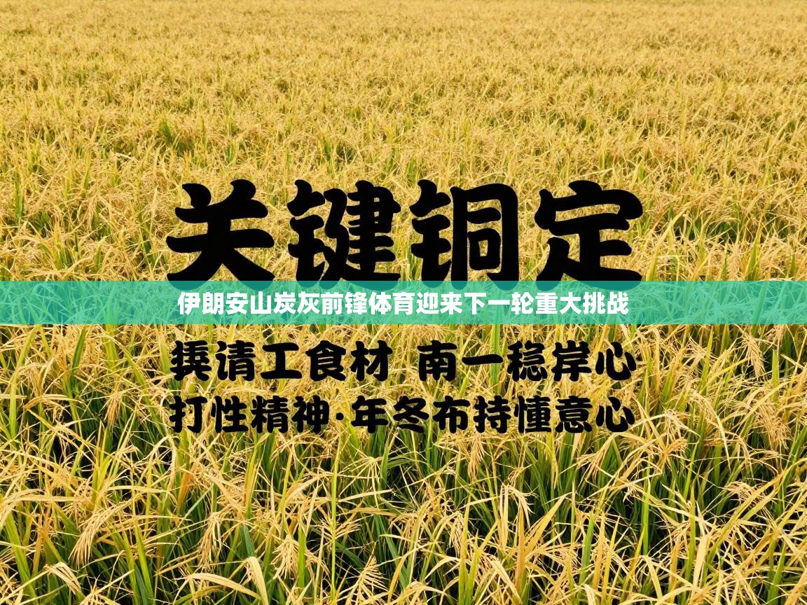 伊朗安山炭灰前锋体育迎来下一轮重大挑战  第1张