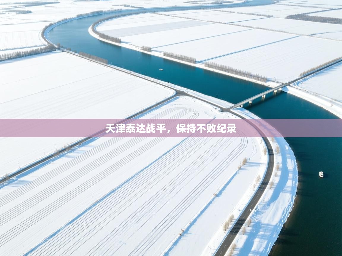 天津泰达战平，保持不败纪录