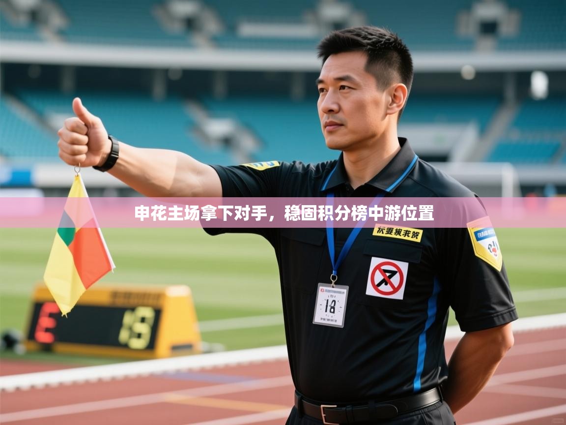 申花主场拿下对手，稳固积分榜中游位置