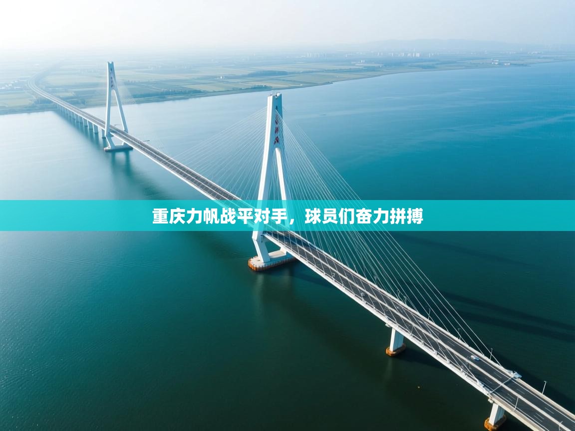 重庆力帆战平对手，球员们奋力拼搏